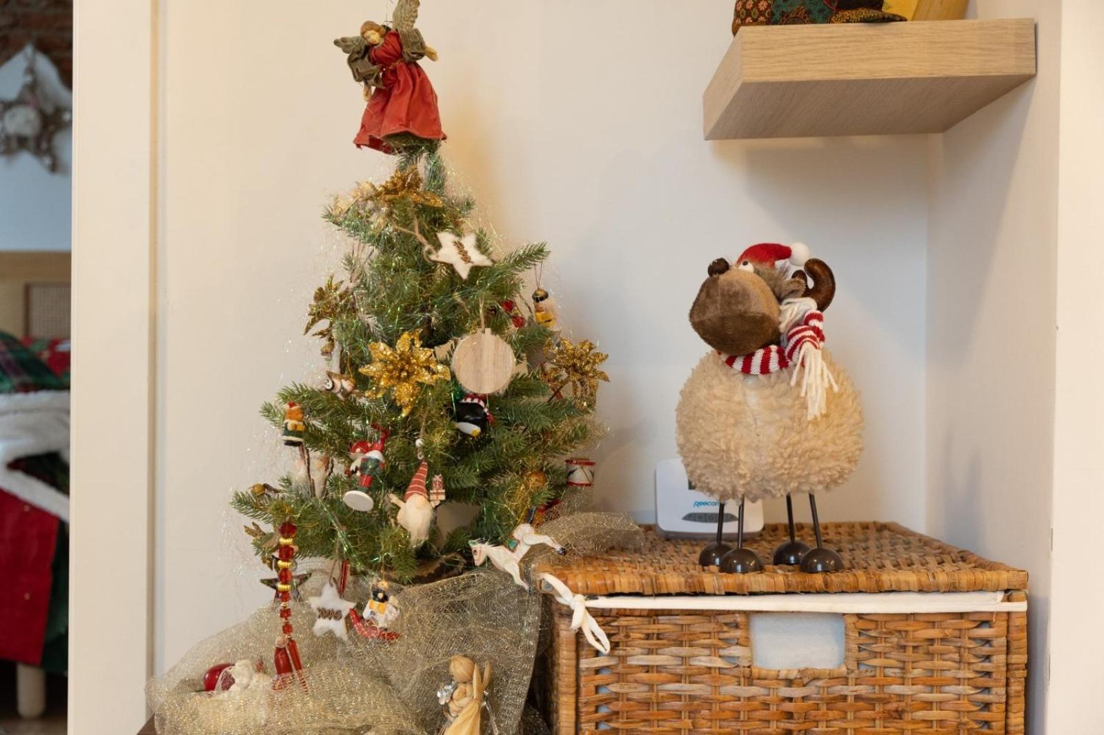 Sweet Cozy Ultracentral Craiova Ngoại thất bức ảnh